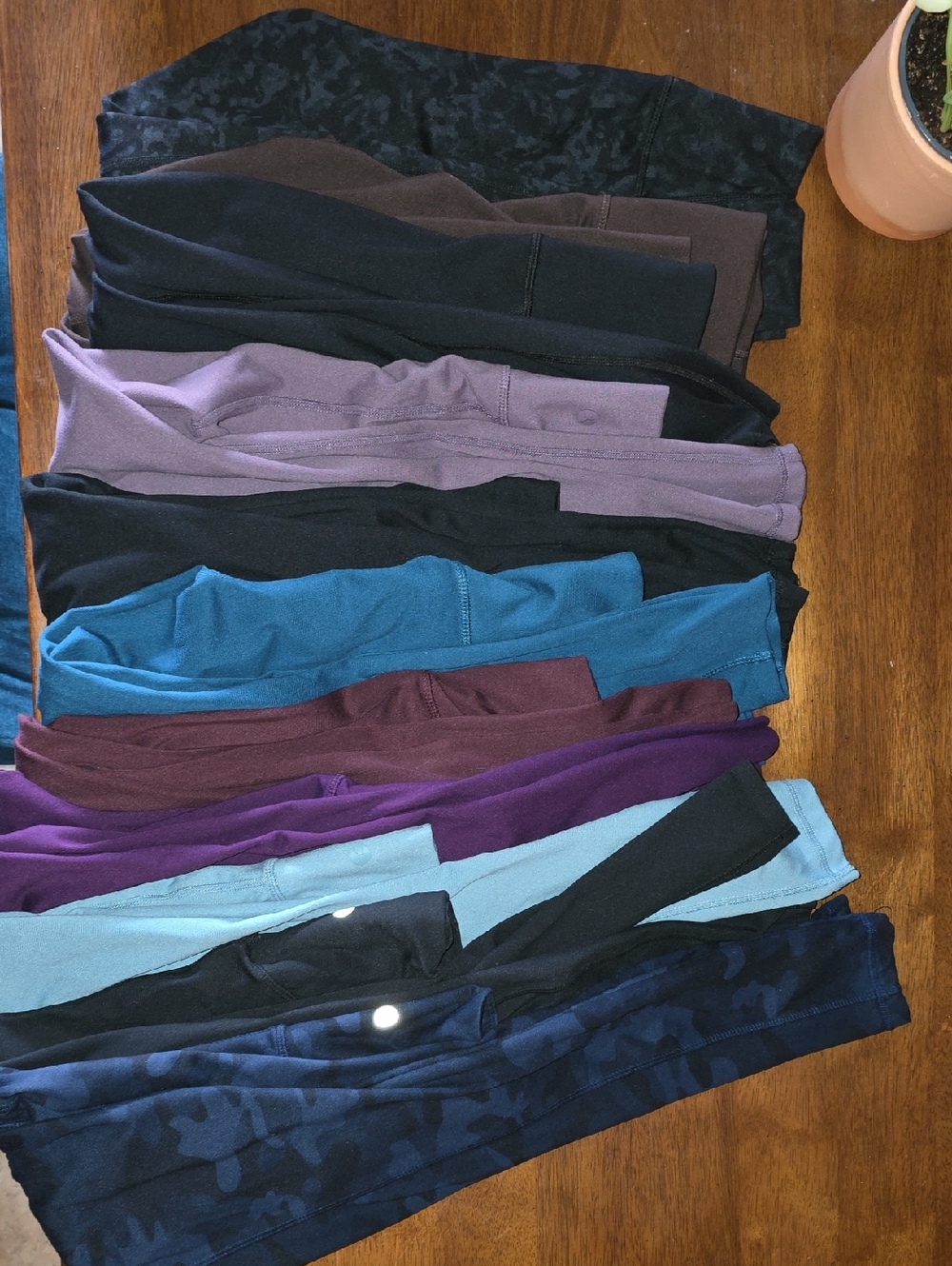 Assorted Danskin Leggings - Black, Purple, Teal, Blue and More